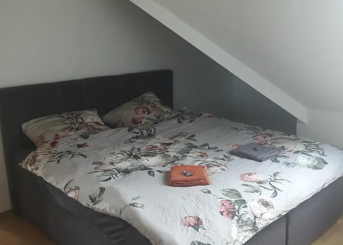 Ueber Den Dächern Von